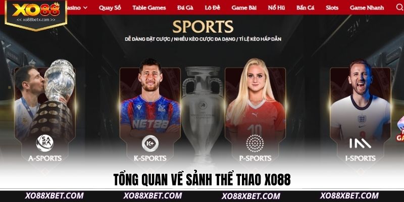tong-quan-ve-sanh-the-thao-xo88