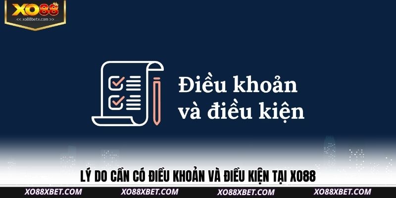 ly-do-can-co-dieu-khoan-va-dieu-kien-tai-xo88